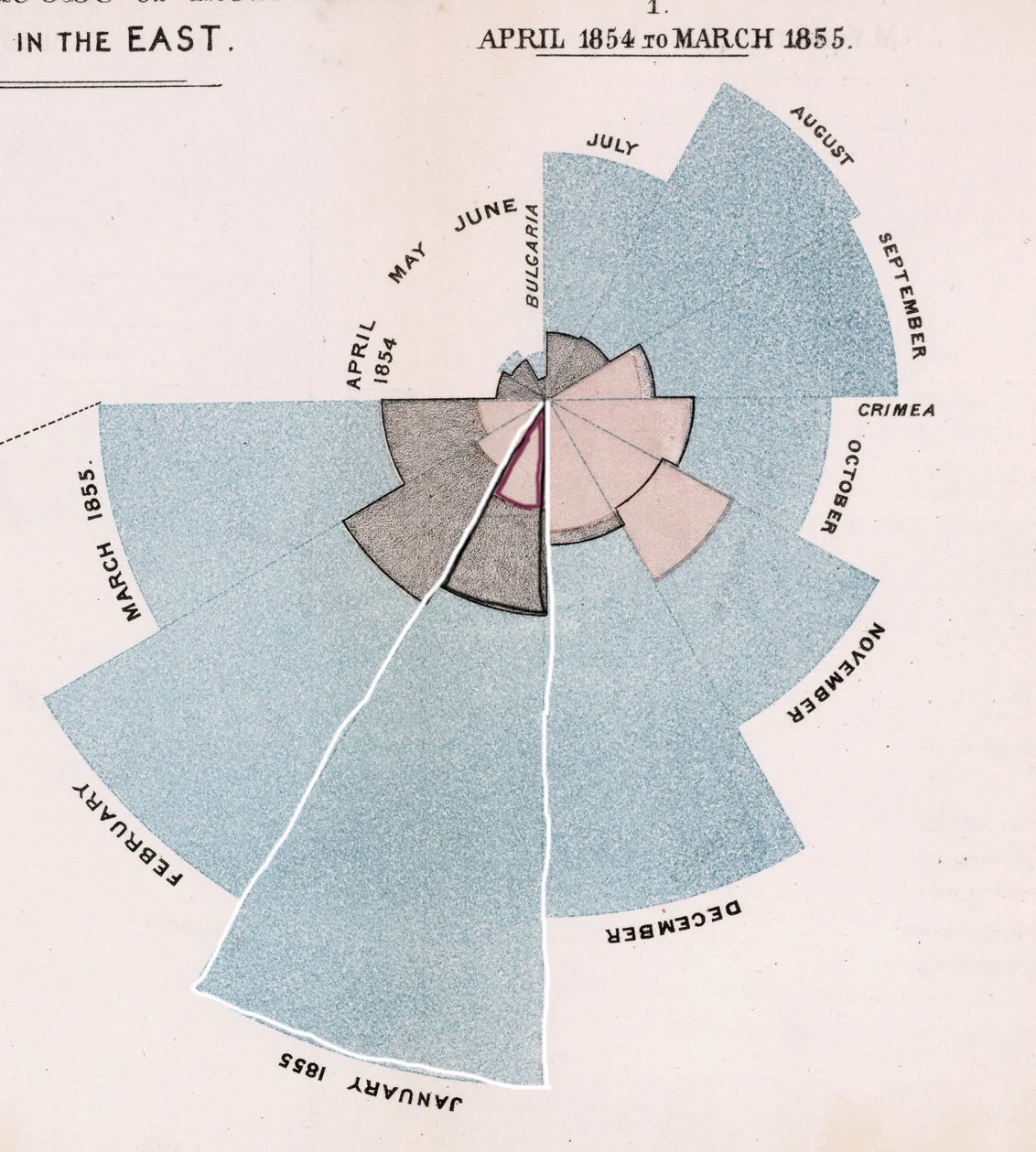 Nightingale's original coxcomb diagram showing confusing overlap